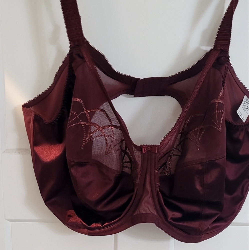 Elomi Plus Burgundy Bra
